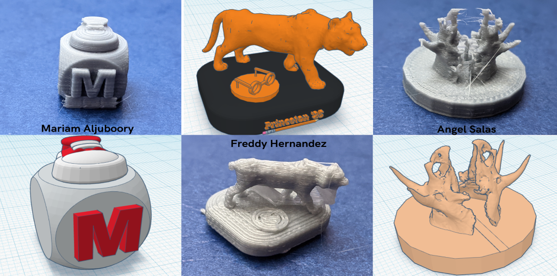 Spring 2021 Student's Tinkercad Designs
