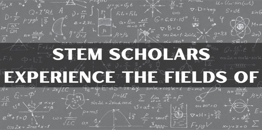 STEM Scholars experiences the fields of